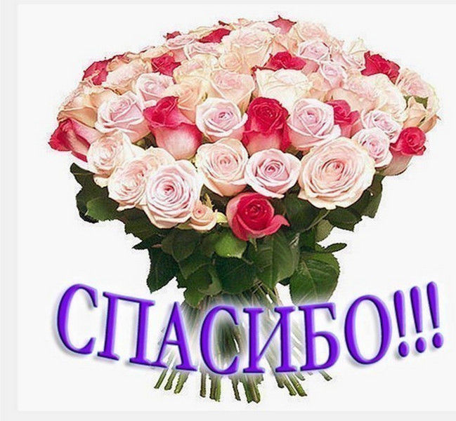 Спасибо таня за поздравление Спасибо таня за поздравление