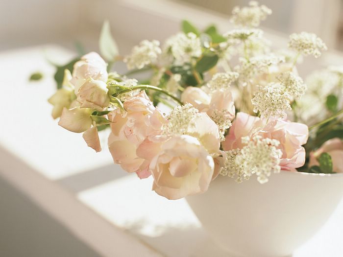 ���� ������ ���� ����� ������ ����� ������ �������� �����