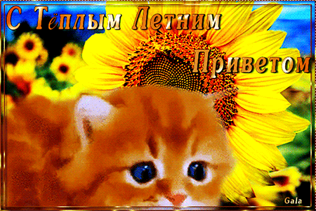 С тёплым летним приветом~Анимации привет