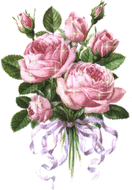 розы лилового цвета