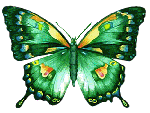 Бабочки смайлик
