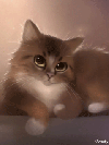 Коты, кошки, котята картинки