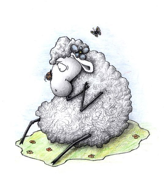 Всю жизнь овца волков. Овечка. Смешная Овечка. Овечка картинка. Овца рисунок.