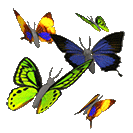 Бабочки смайлики картинки гифки
