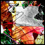 Листья смайлик