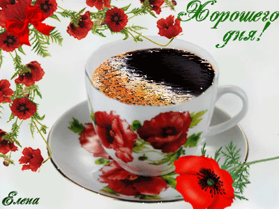 Хорошего дня!~Удачного дня