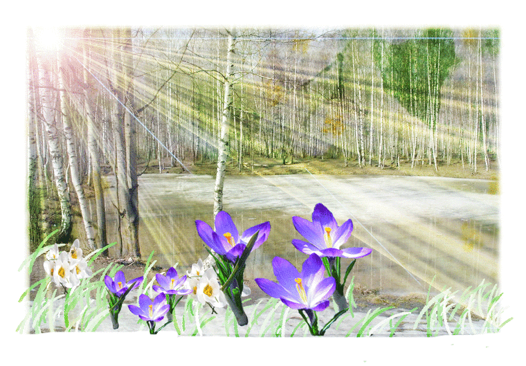 �������� ���� ����� ��������