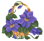 Корзина фиалок картинка