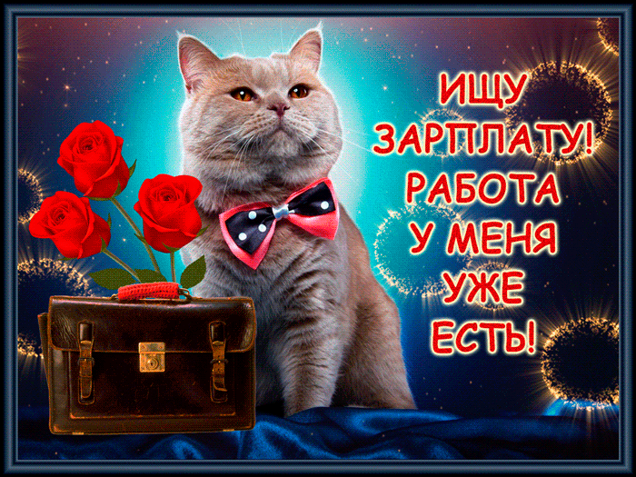 Ищу зарплату~Гиф анимашки