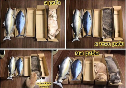 Коллекция авторских товаров Этот серенький волчок не