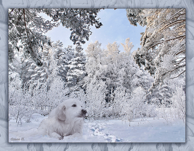 Зимний пейзаж с собакой