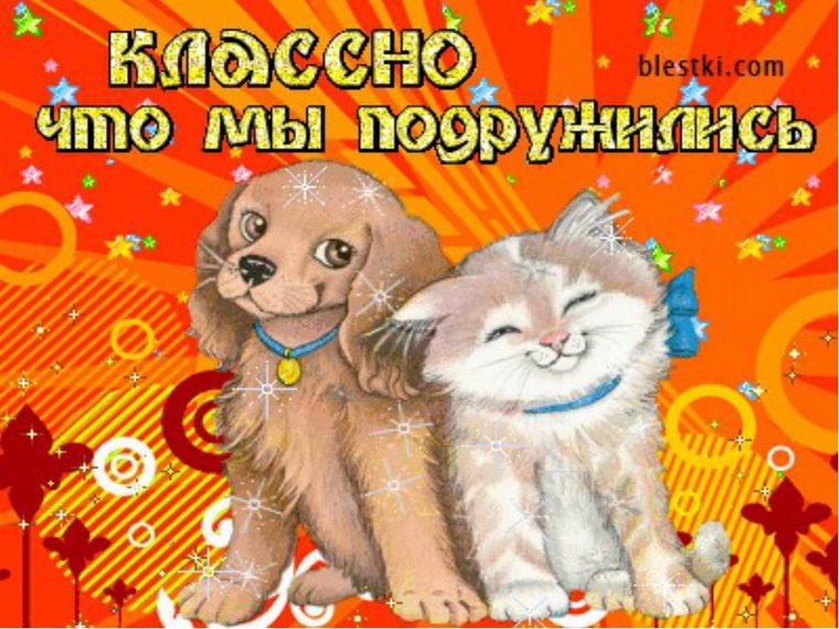 Рада знакомства что это Что рада это знакомства