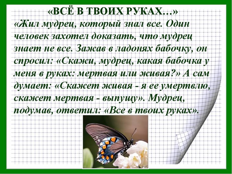 Притча о мудреце и бабочке все в твоих руках презентация