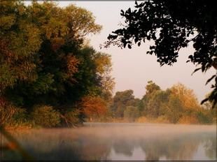 Осень картинки
