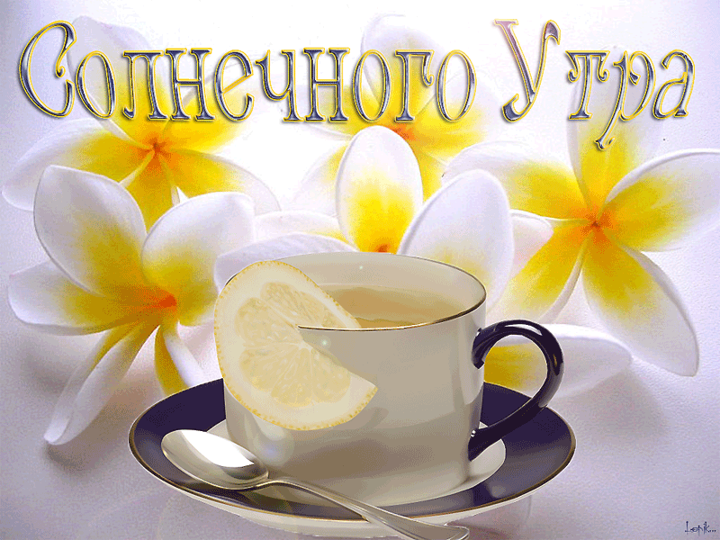 Солнечного утра.Доброе утро