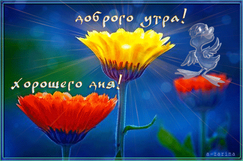 Доброго утра и хорошего дня~Доброе утро