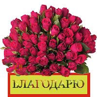 Спасибо, благодарю смайлик