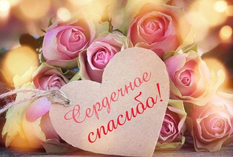 Цветы картинки красивые нежные для любимой