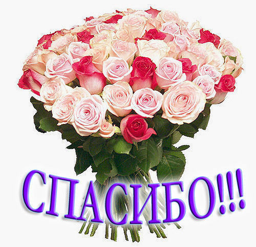 Благодарю,спасибо картинки