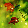 Листья смайлик