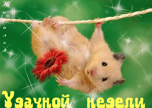 Удачной недели.Анимационные GIF открытки