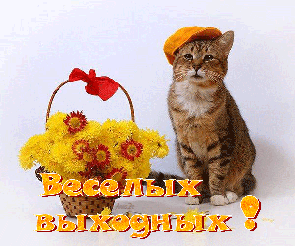Веселых выходных - Анимационные GIF открытки