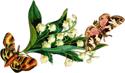 Picture background