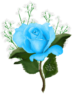 Цветок голубой розы