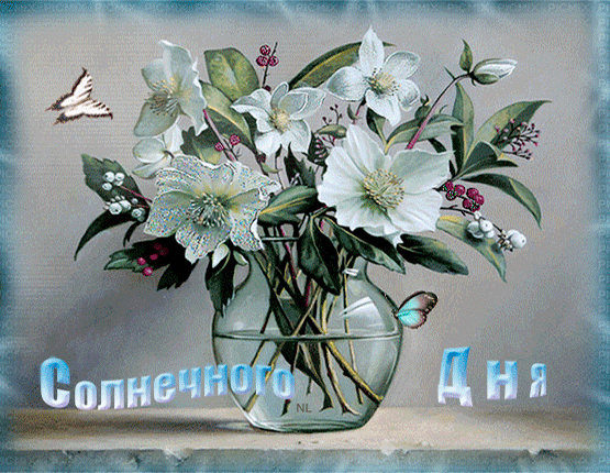 Солнечного дня~Добрый день