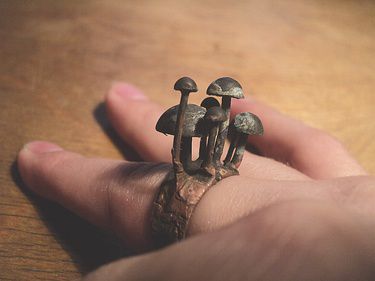 mushroom ring!