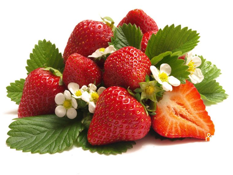 Fraise. Земляника Садовая Царскосельская. Клубника на белом фоне. Клубника ягода. Земляника на белом фоне