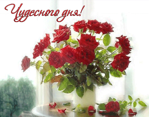 Чудесного дня - Добрый день