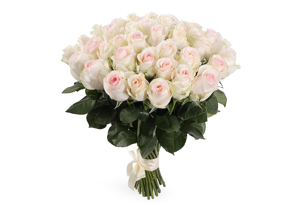 Букет из белых роз - Цветы картинки