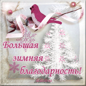 Большая зимняя благодарность!~Благодарю