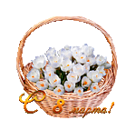 8 марта картинки