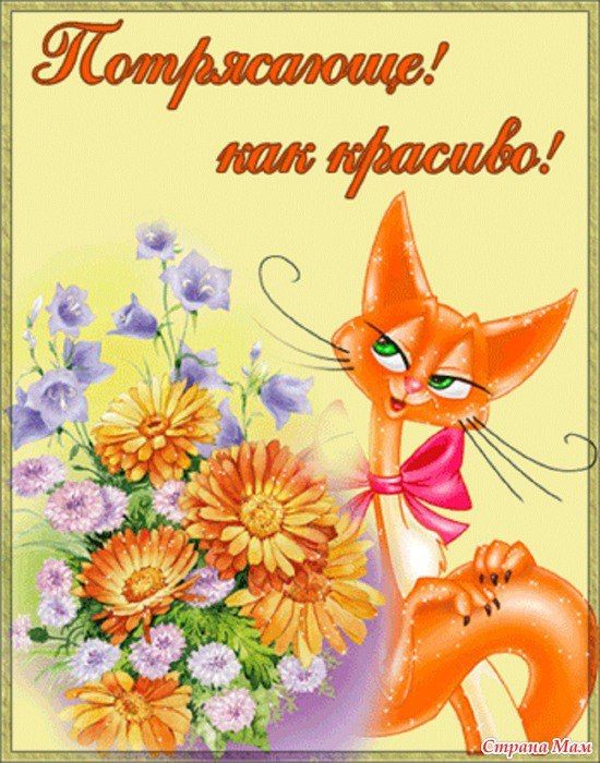 Открытки с надписью красота, открытке деду