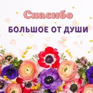 Спасибо за внучку доченька открытки