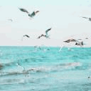 Море смайлик