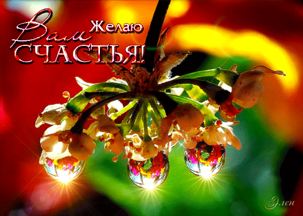 Желаю Вам счастья!~Анимации с надписями