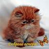 Добрые пожелания смайлик