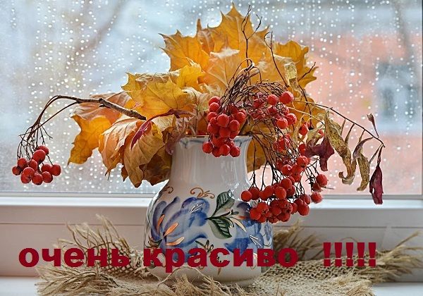 Осенний Букет На Окне Фото