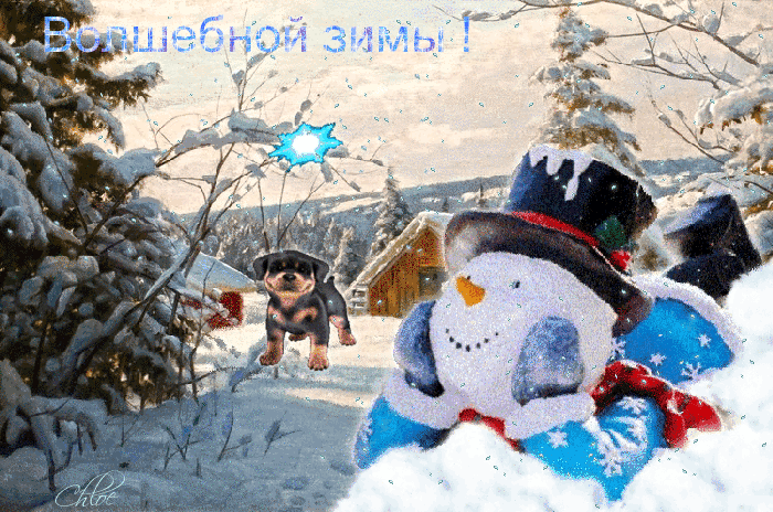 Радостного зимнего дня. Снежки анимация. Доброго дня снег гиф. Зима Живая.