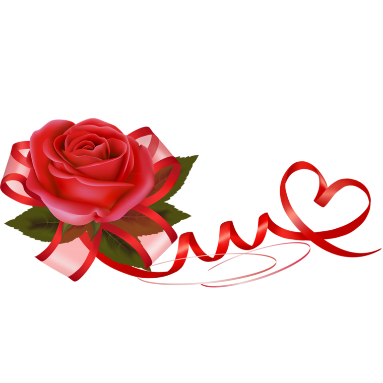 Roza4u. Роза с ленточкой. Лента из роз для фотошопа. Роза с лентой на прозрачном фоне. Розы на прозрачном фоне с ленточкой