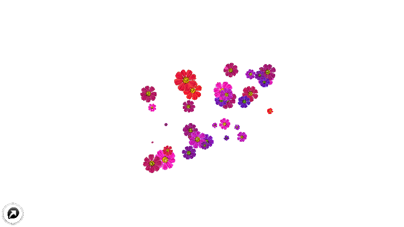 12.gif
