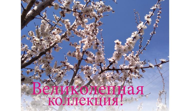 Весна Еще Не Сшила
