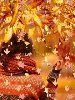 Осень осень в твоих садах колдует соловей. Осенние гифы. Осень гифки. Осенний листопад анимация. Гиф девушка осенний листопад