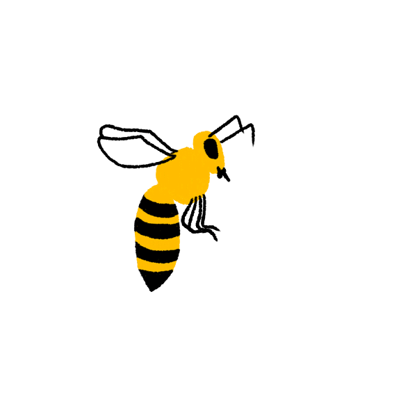 ������� �����, ����� ����� �����