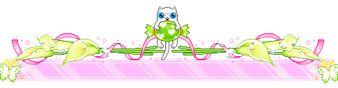 котик