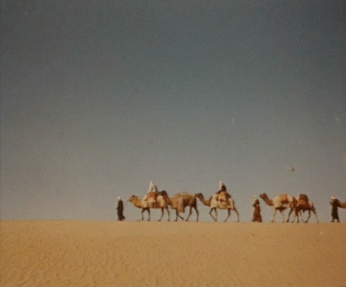 Караван гремел. Верблюд в пустыне. Караван верблюдов в пустыне. Идущий Караван верблюдов. Караван идет.