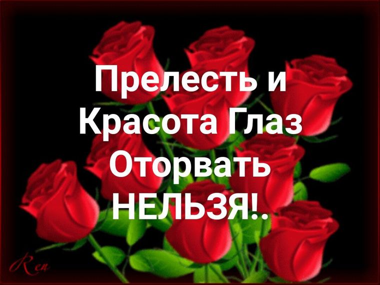 Глаз не оторвать картинки, открытка добрый день